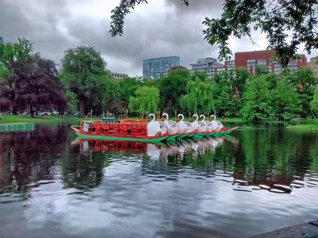 Frog Pond photo 2