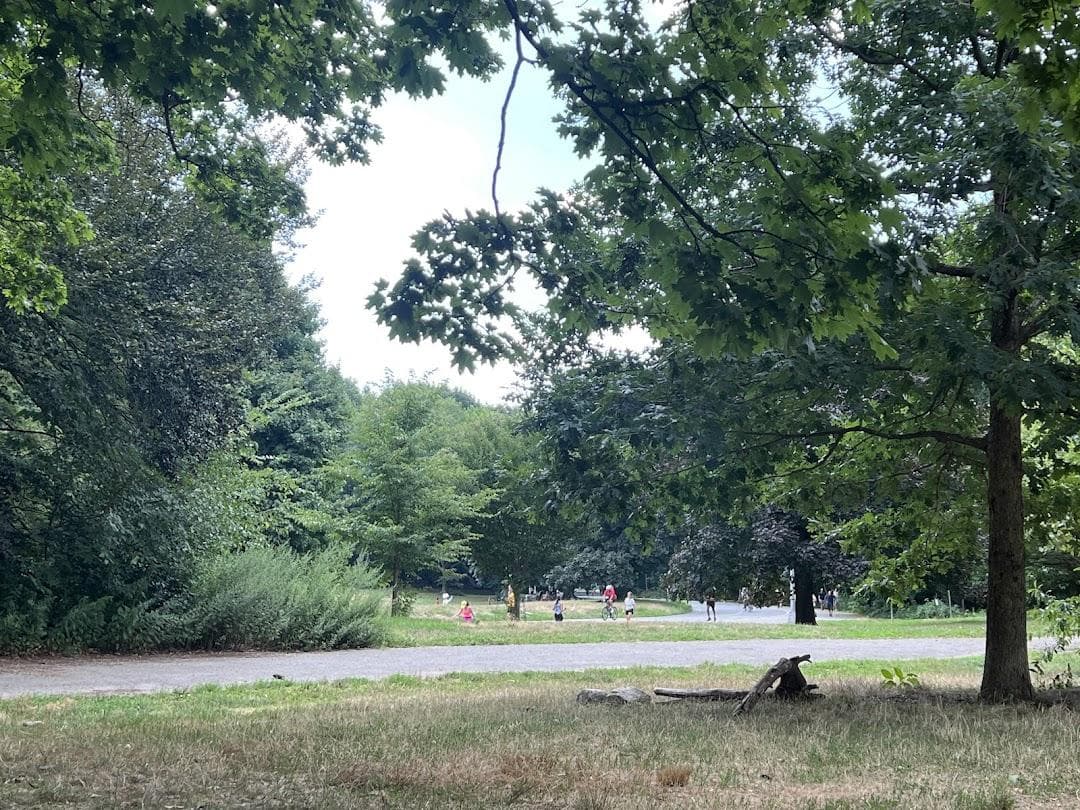 Long Meadow photo 2