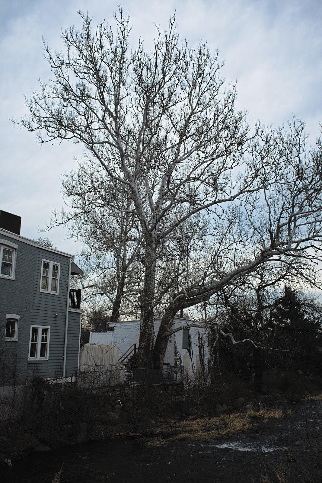 Millburn photo 3
