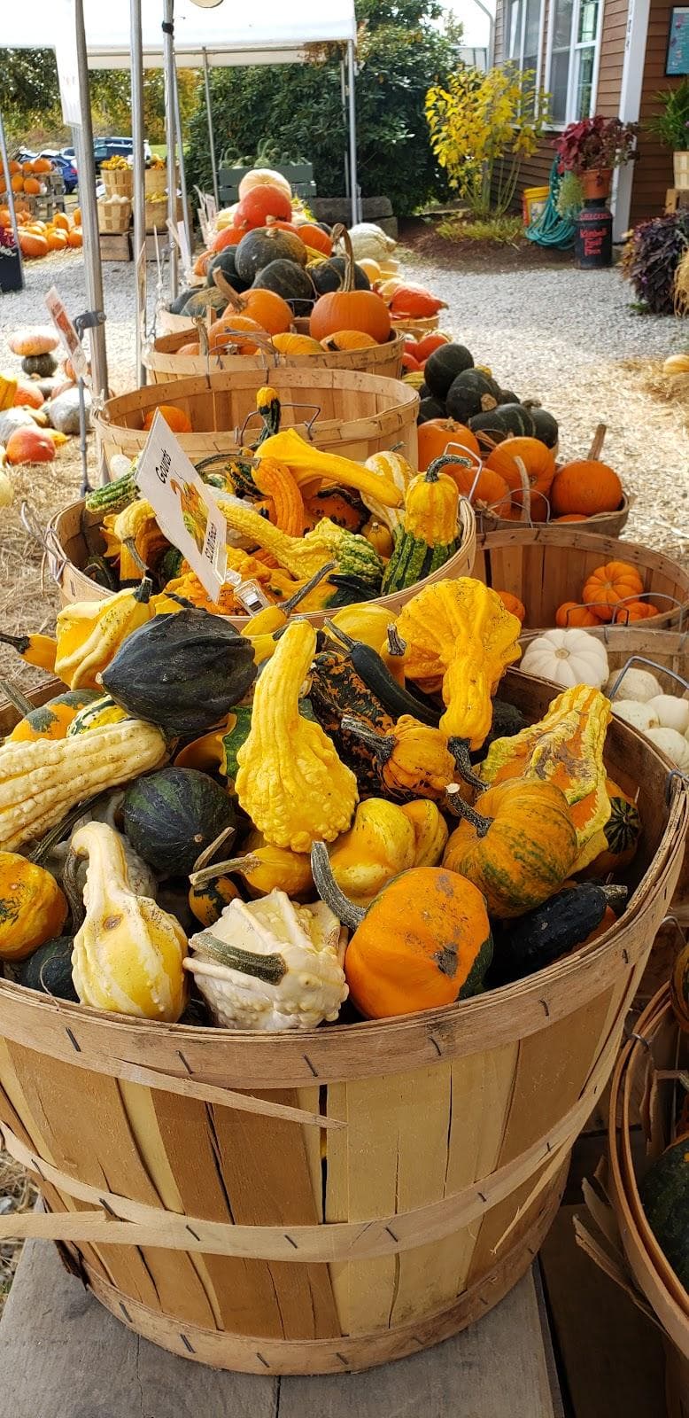 Kimball Fruit Farm photo 3