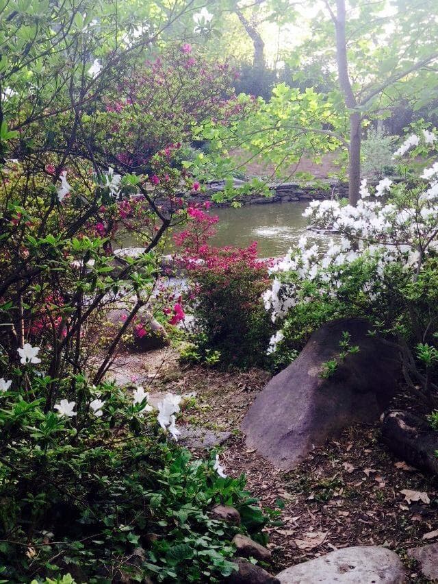 Biopond photo 5