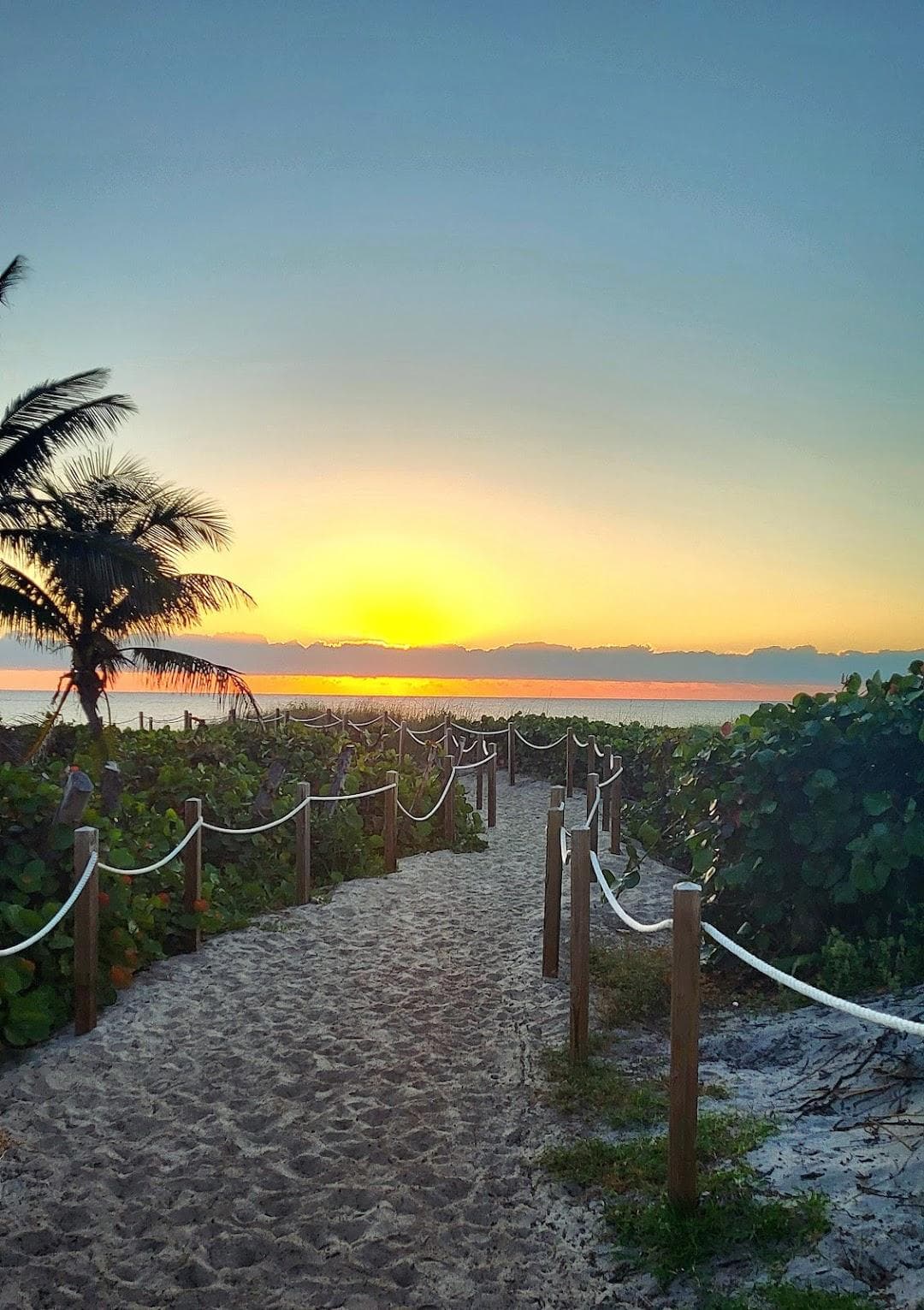 Delray Public Beach photo 3