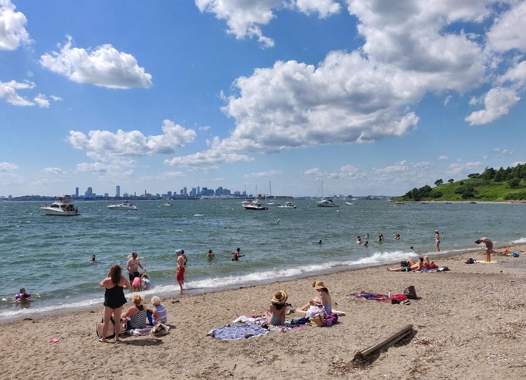 Spectacle Island photo 3