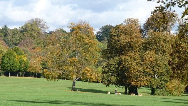 Addington Park photo 1