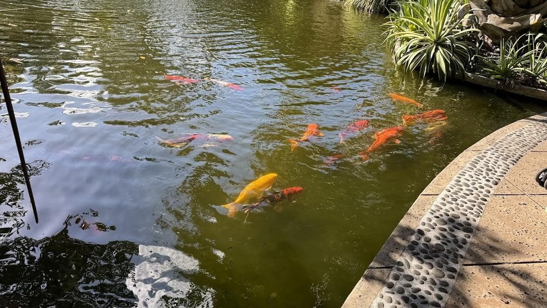 Miami Beach Botanical Garden photo 5