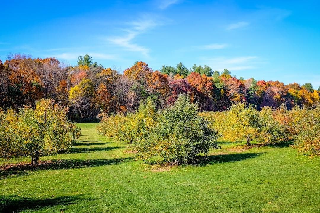 Carlson Orchards, Inc photo 1