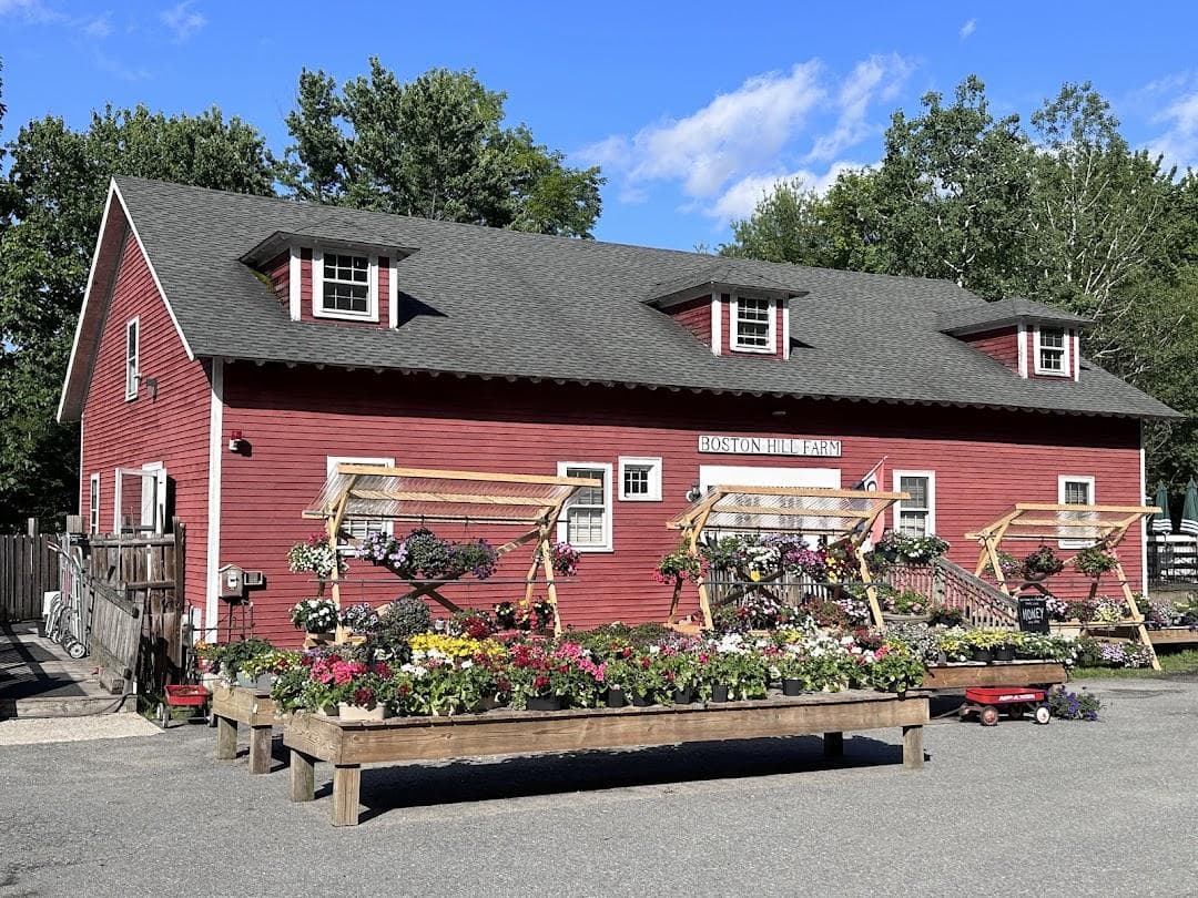 Boston Hill Farm photo 4