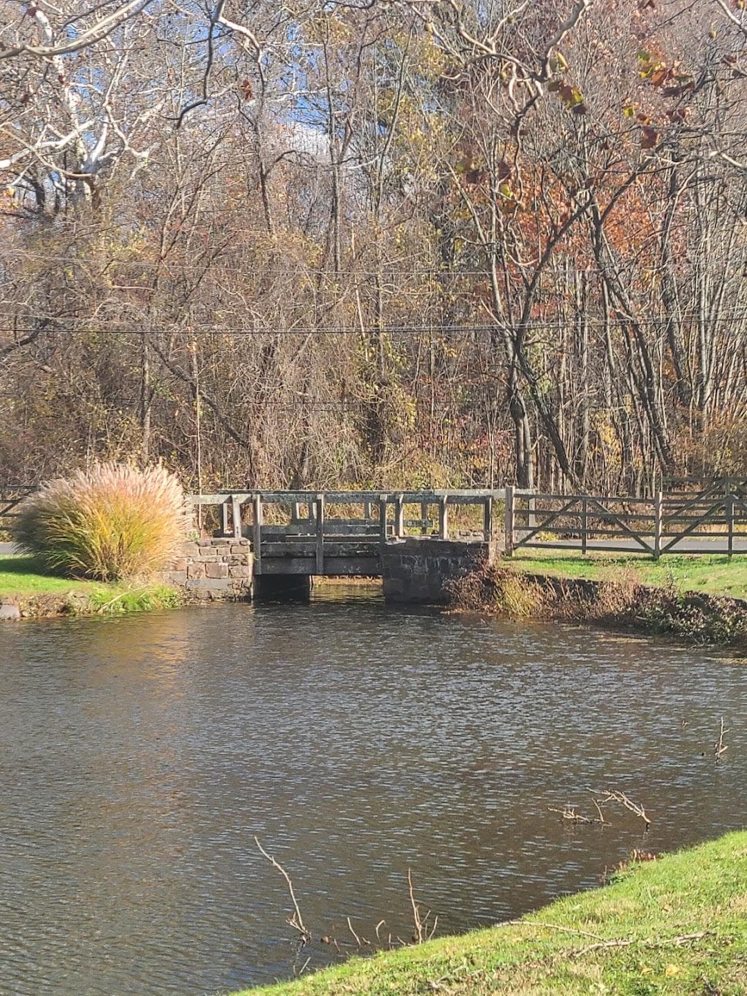 Graeme Park photo 5