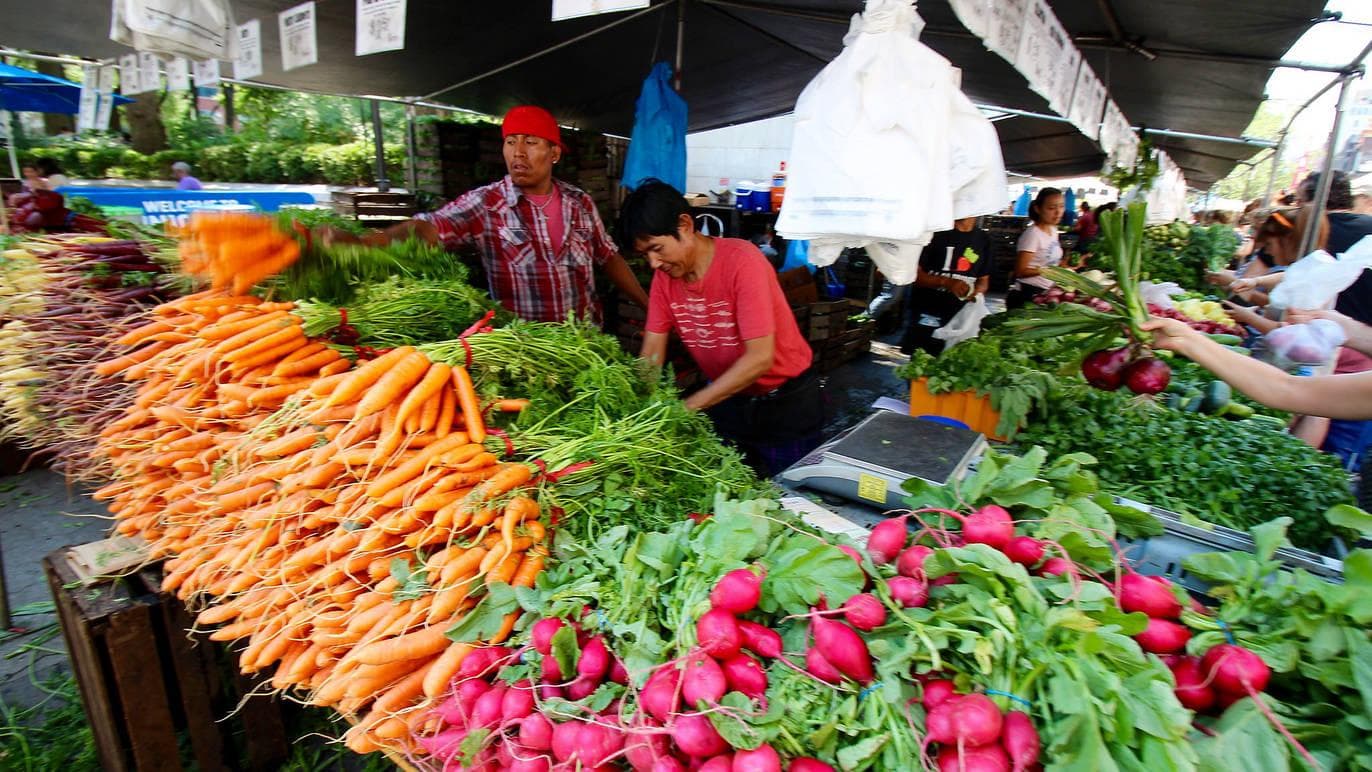 Local Farmer's Market