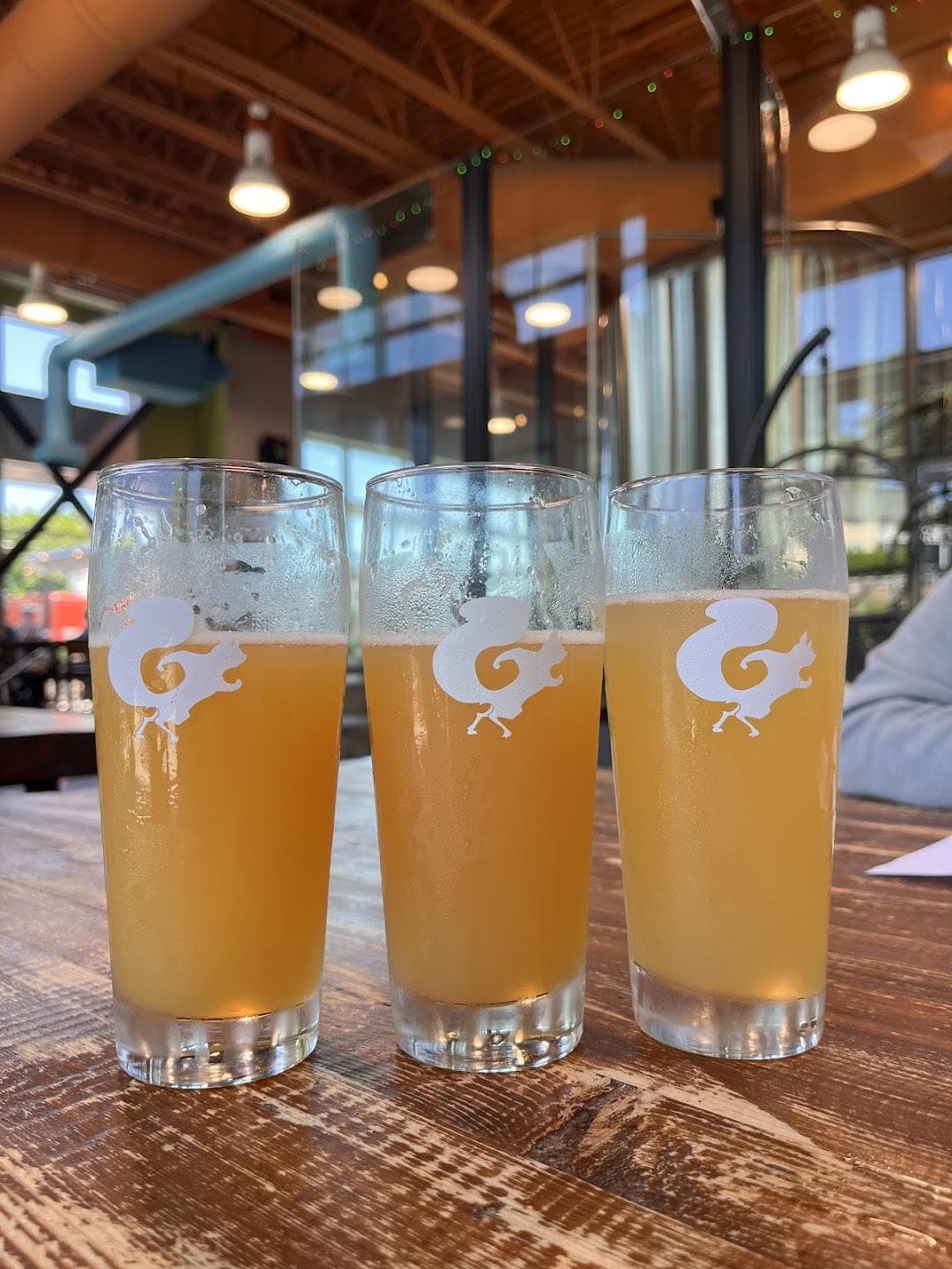 Mighty Squirrel Taproom & Kitchen photo 5
