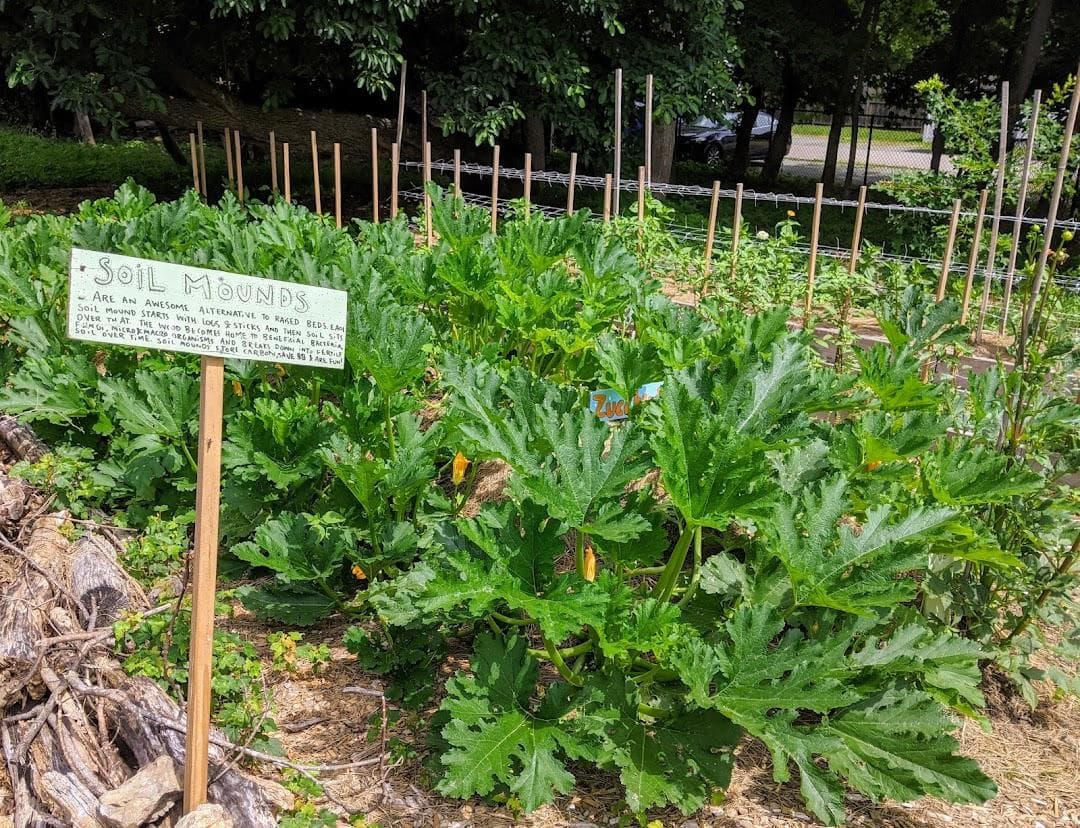 Thornton Street Urban Farm & Community Gardens photo 4