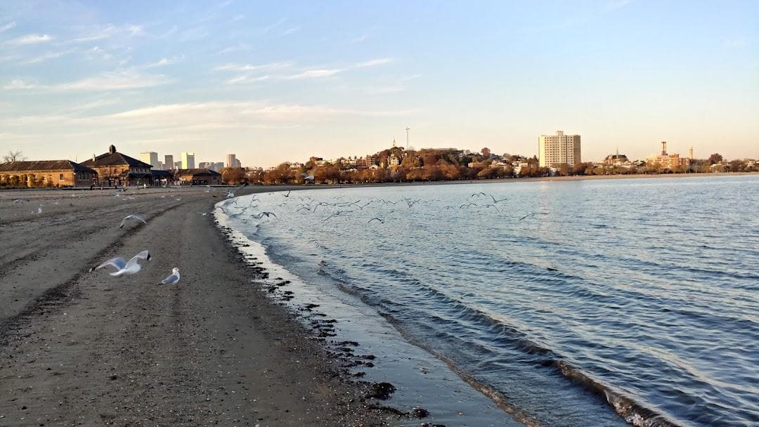 South Boston photo 2