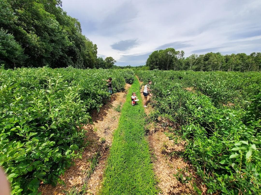 C N Smith Farm photo 5