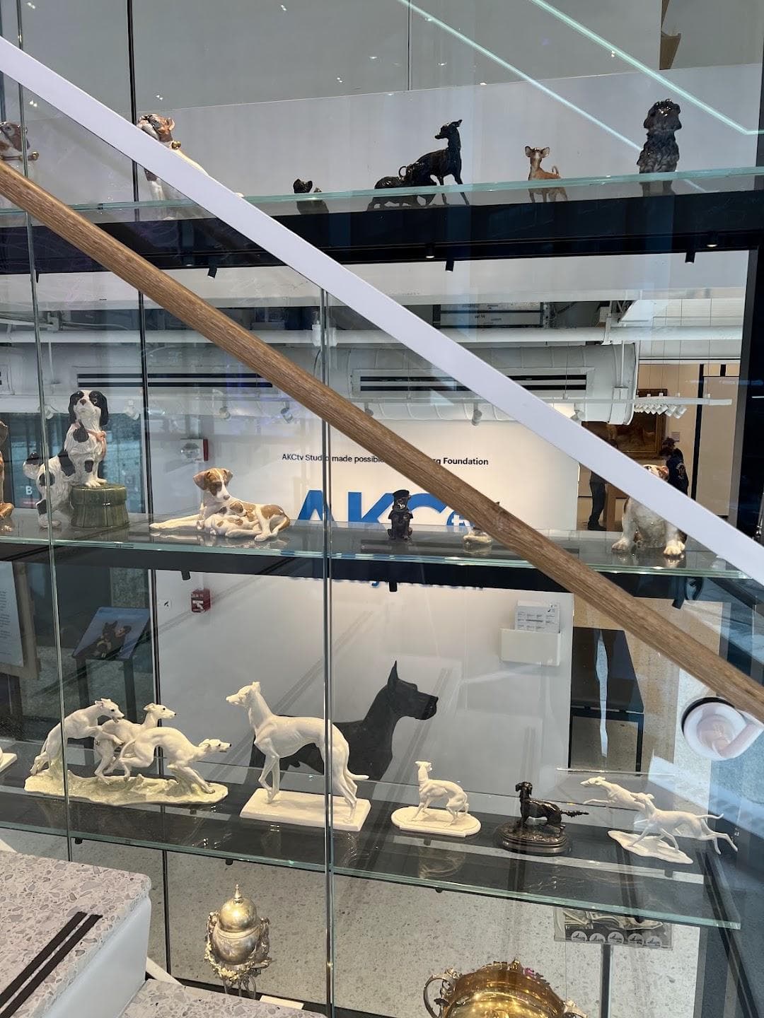 AKC Museum of the Dog photo 4