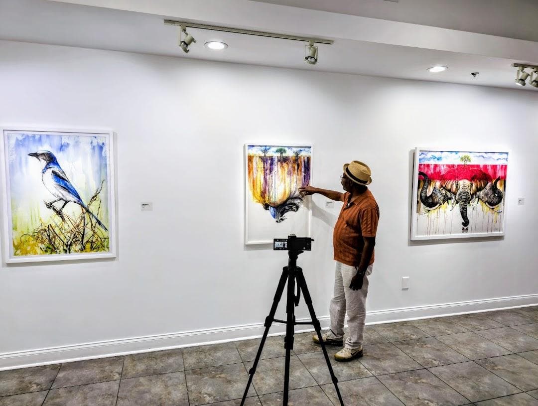 Bailey Contemporary Arts photo 3