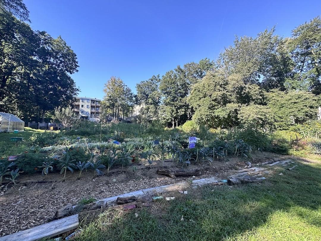 Thornton Street Urban Farm & Community Gardens photo 3