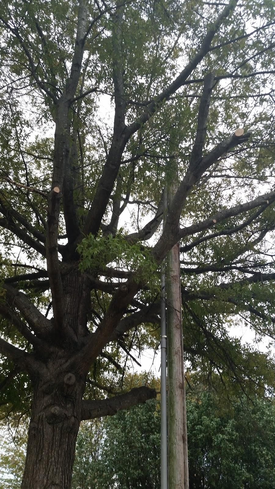 Waymer Park photo 2