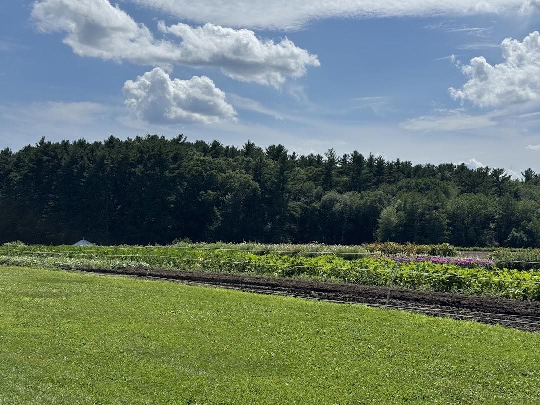 Tangerini's Spring Street Farm photo 4