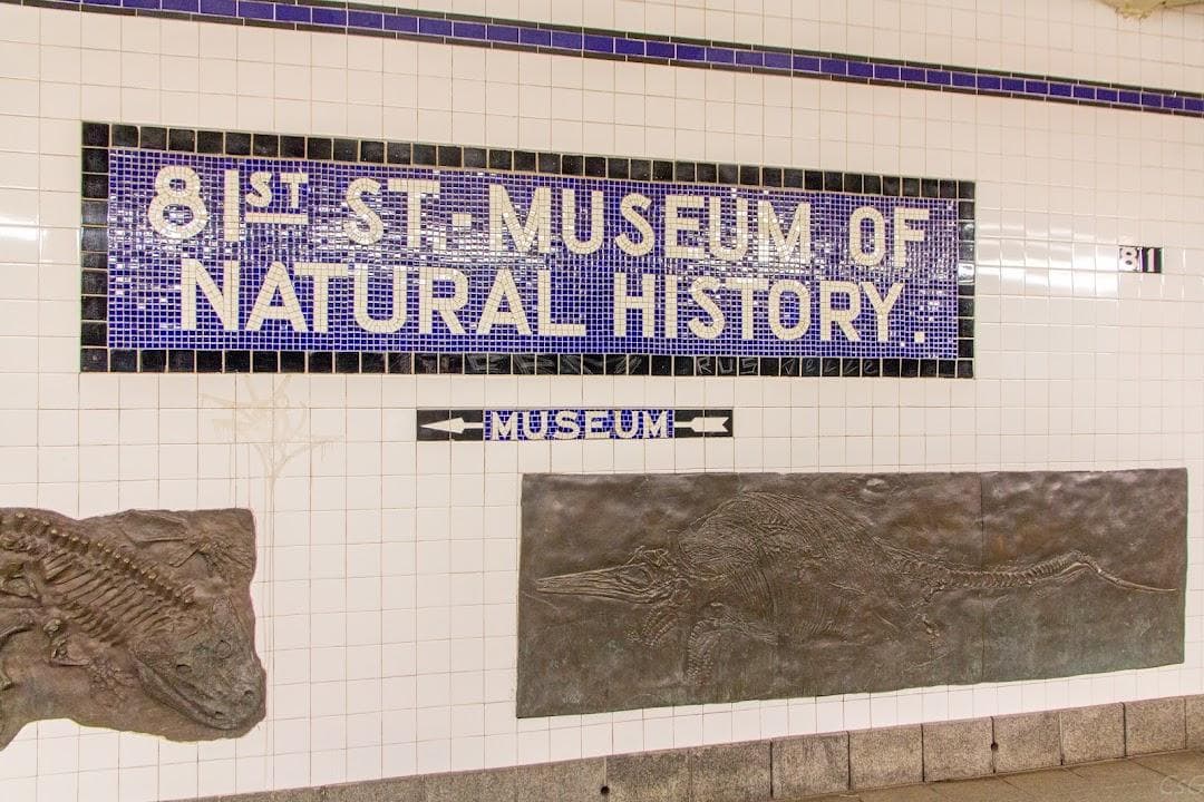 Central Park West/W 81 St photo 6