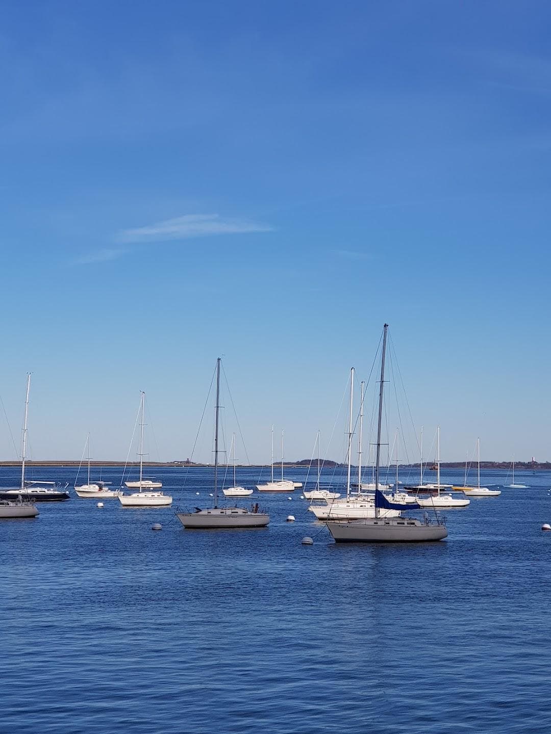 Long Wharf (North) photo 5