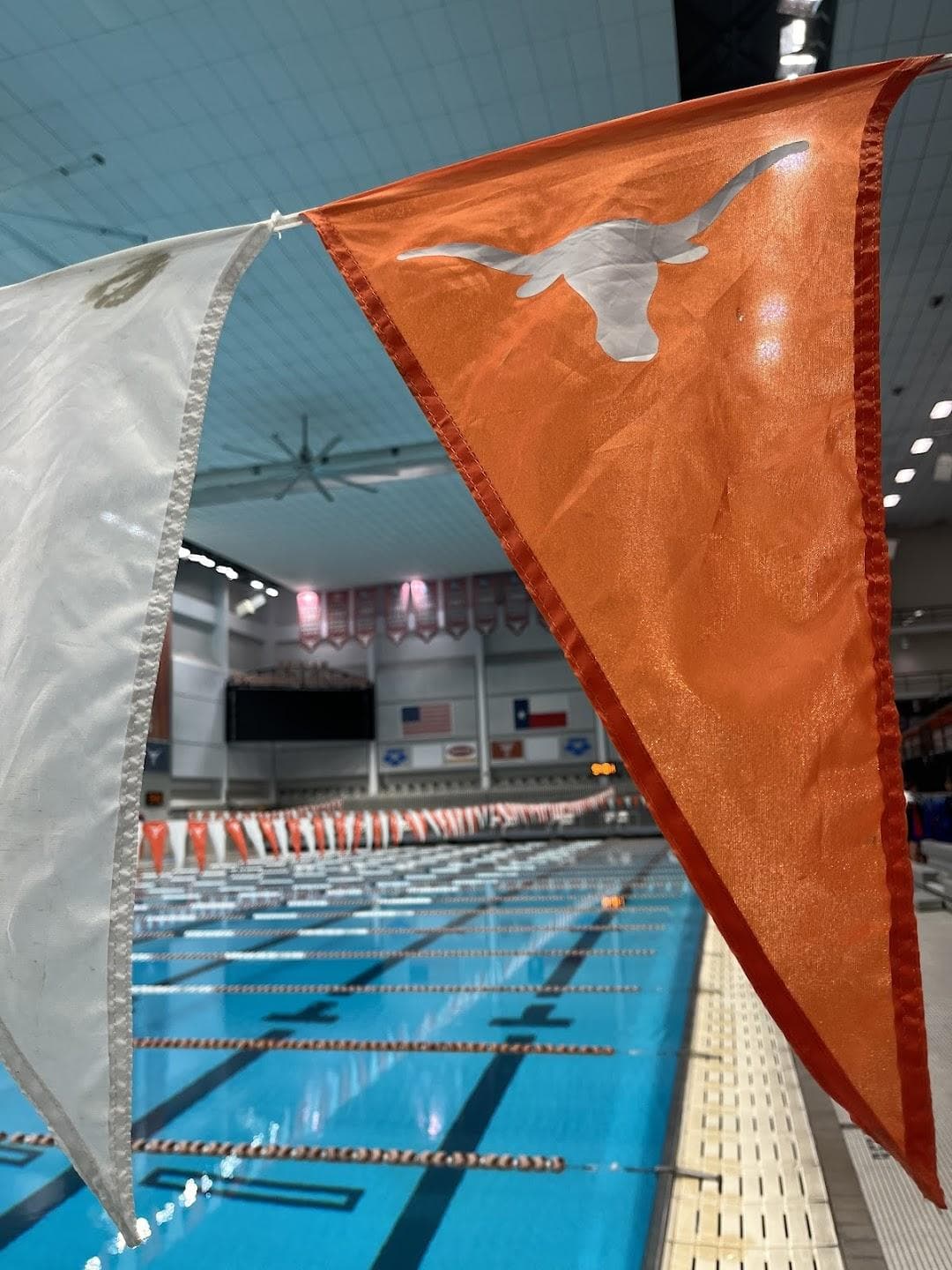 Jamail Texas Swimming Center photo 2