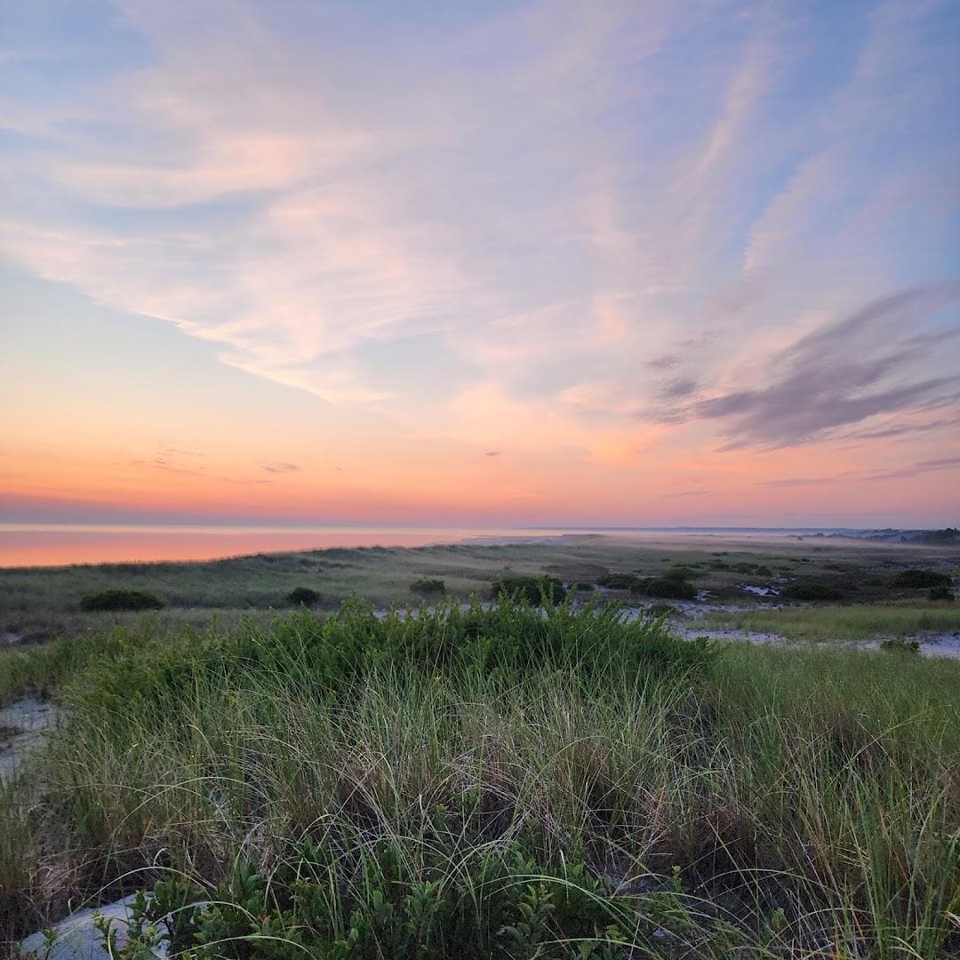 Crane Beach at Trustees of Reservations photo 4