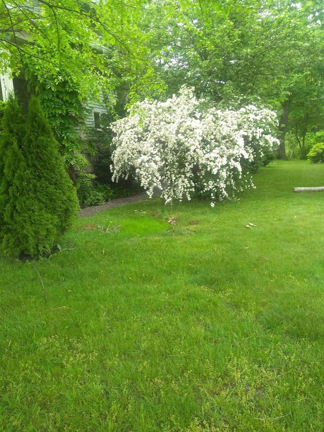 Westville photo 4