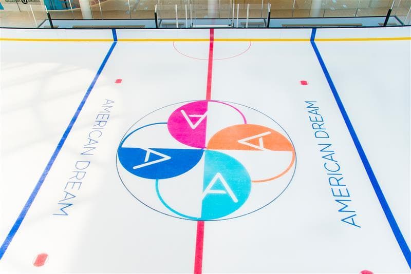 The Rink @ The Arena photo 6