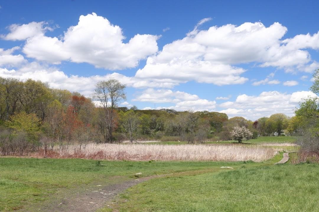 Rock Meadow Conservation Area photo 1