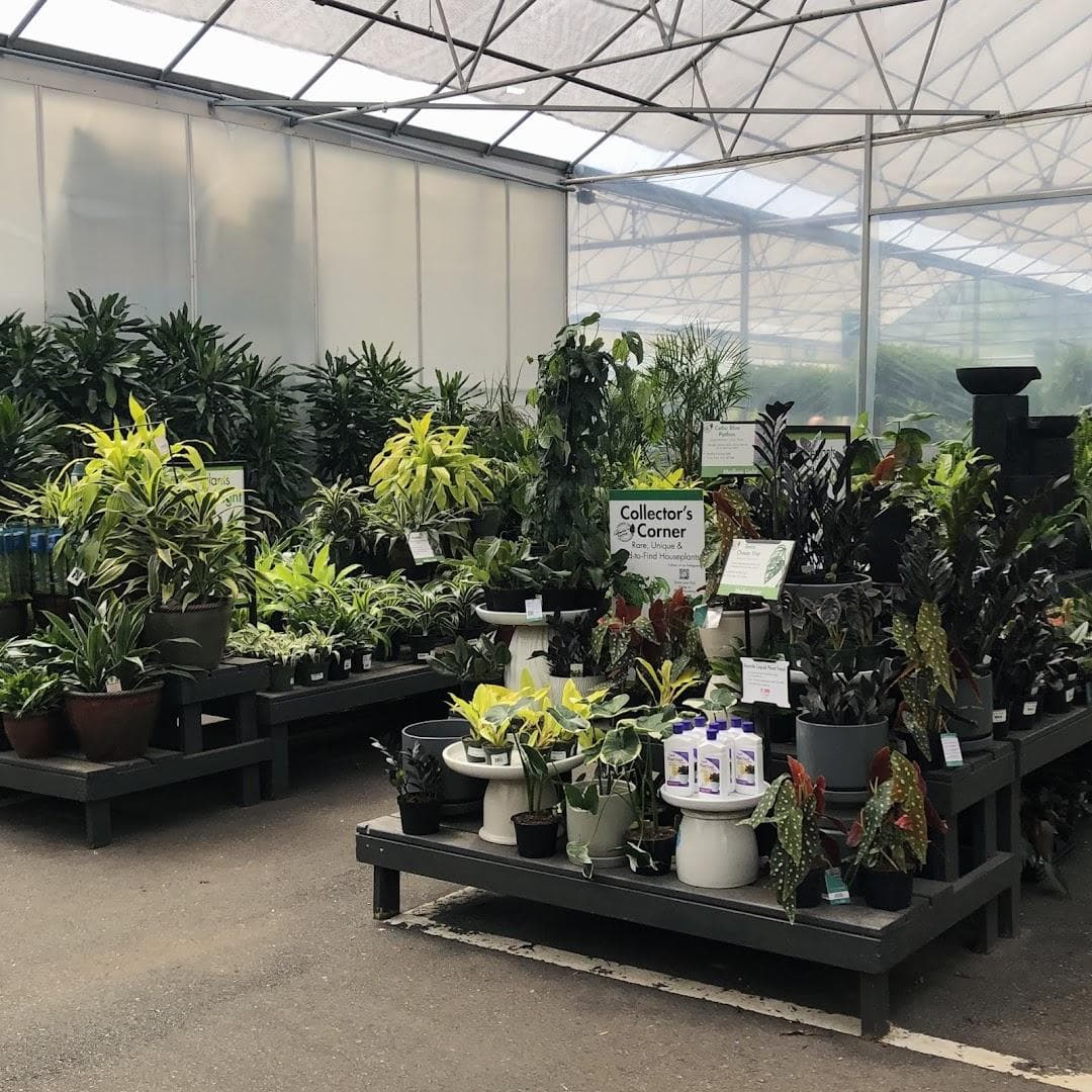 Pike Nurseries photo 1