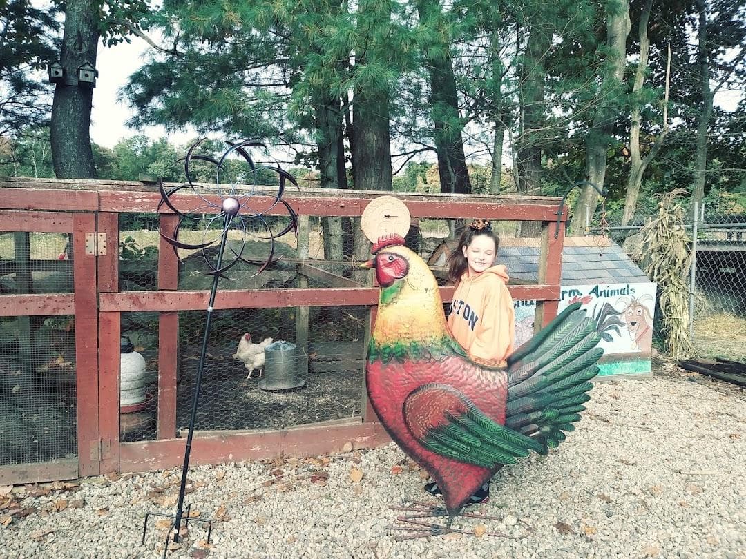 Nihtila Farm photo 3