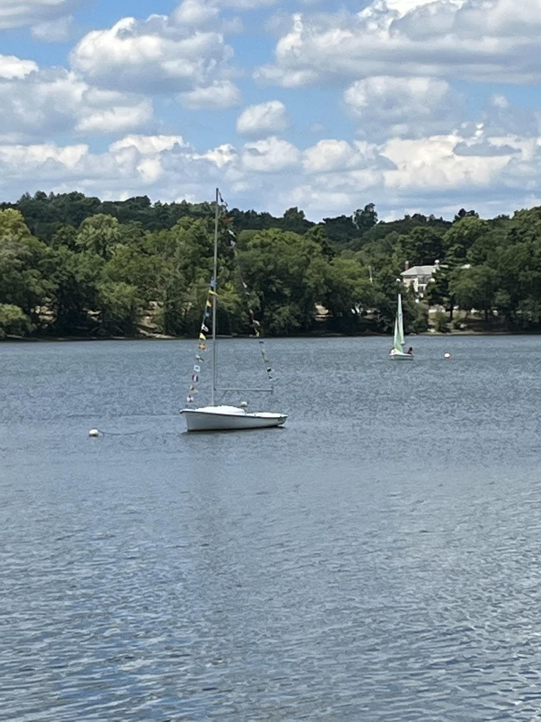 Jamaica Pond photo 2