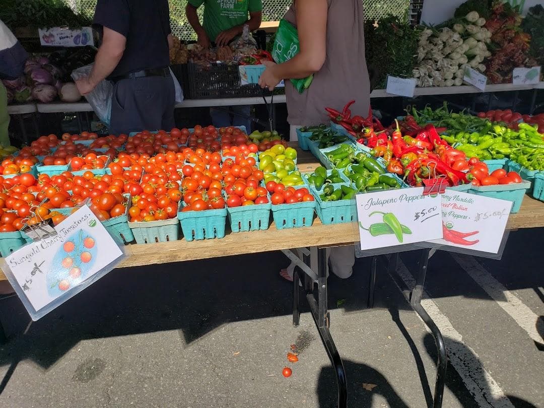 Down to Earth Larchmont Farmers Market photo 6