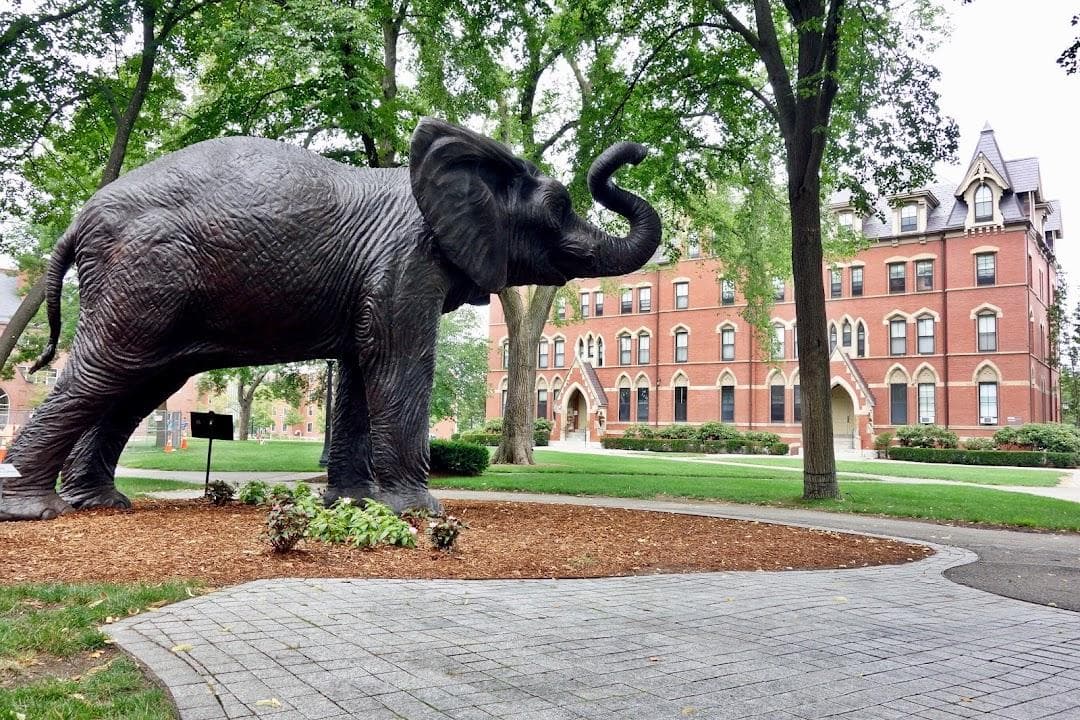Tufts University photo 2
