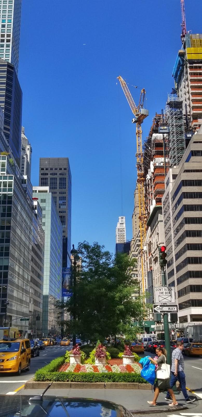 Park Avenue photo 4