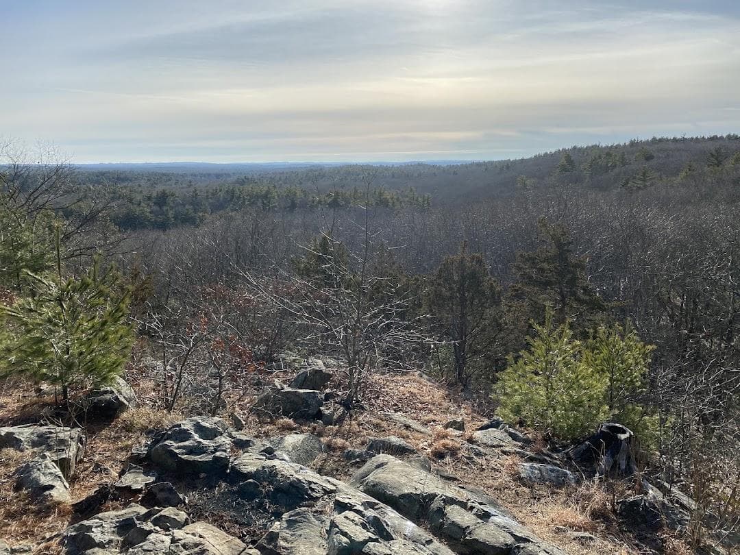 Rocky Woods photo 1