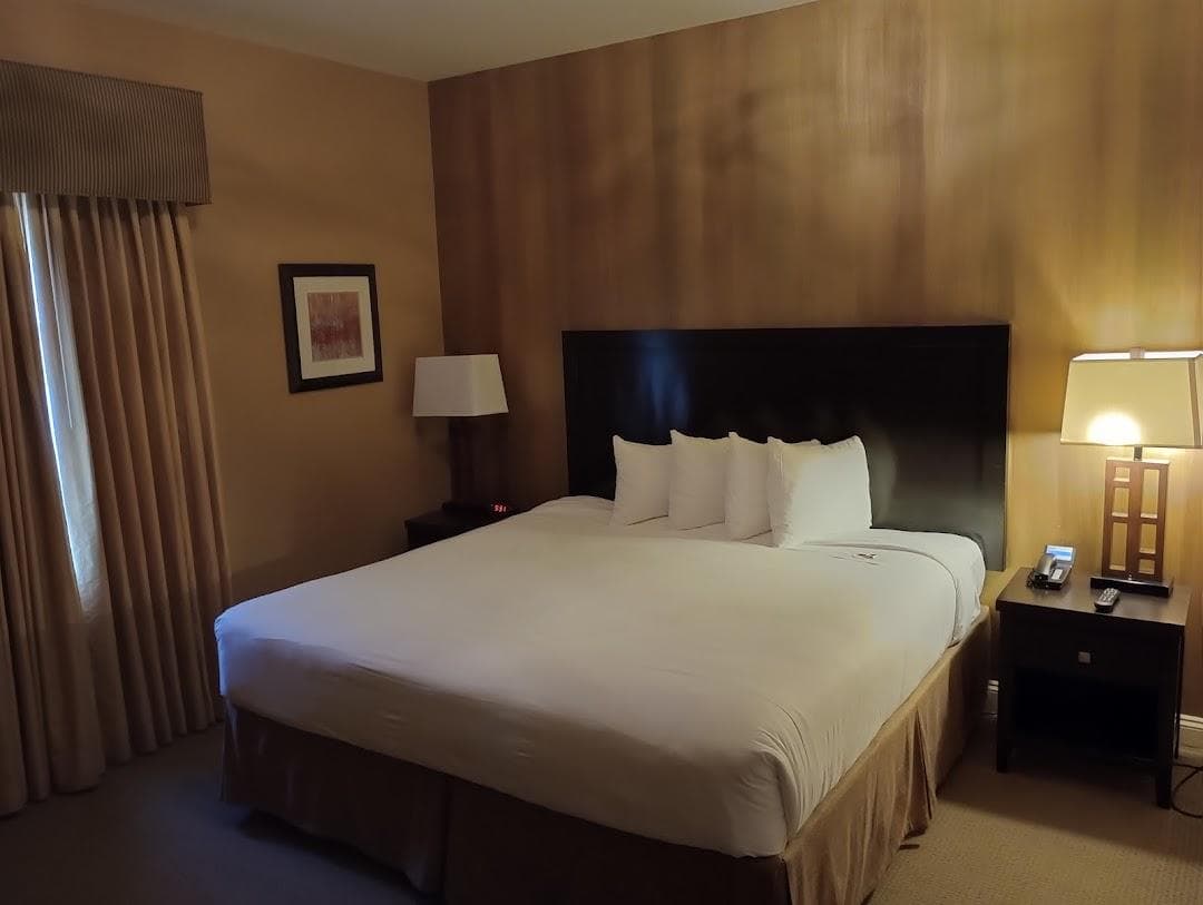 American Hotel photo 2