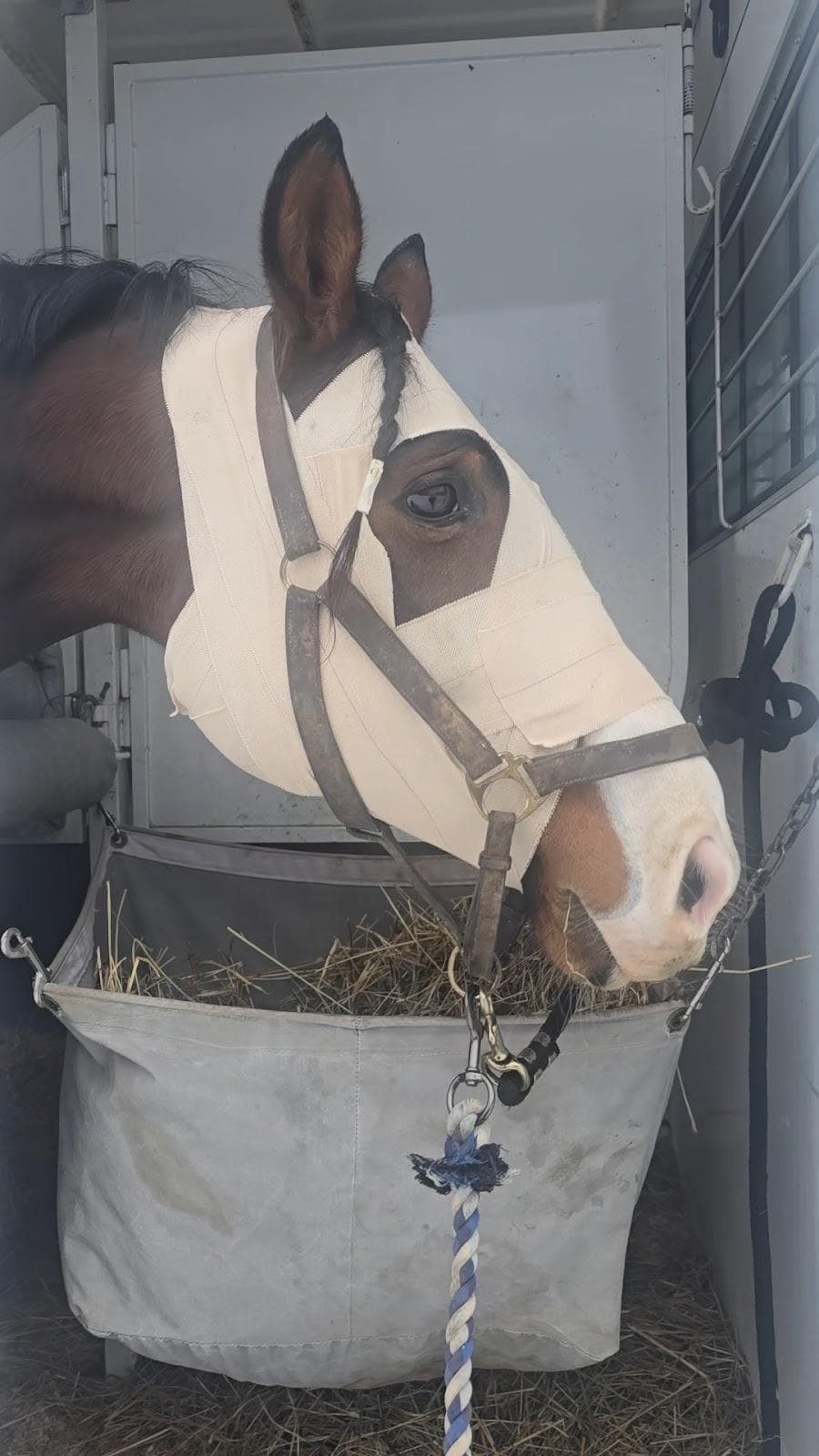 Cornell University Equine Hospital photo 2