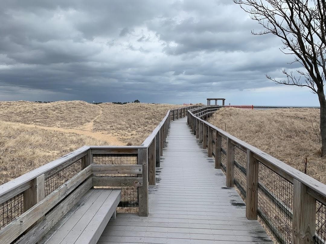 Plum Island Beach photo 1