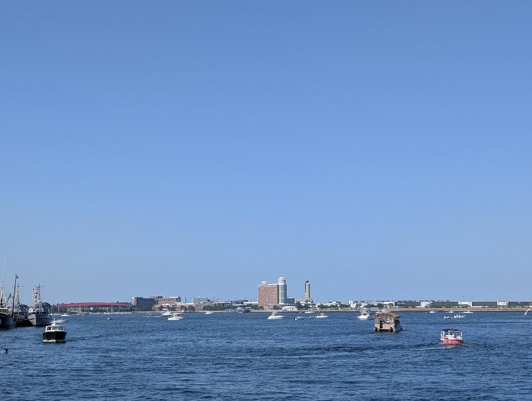 Boston Fish Pier photo 6