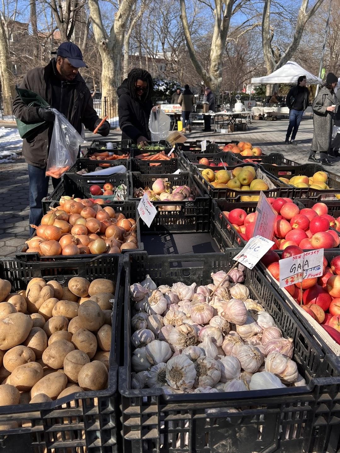 Down to Earth McGolrick Park Farmers Market photo 2
