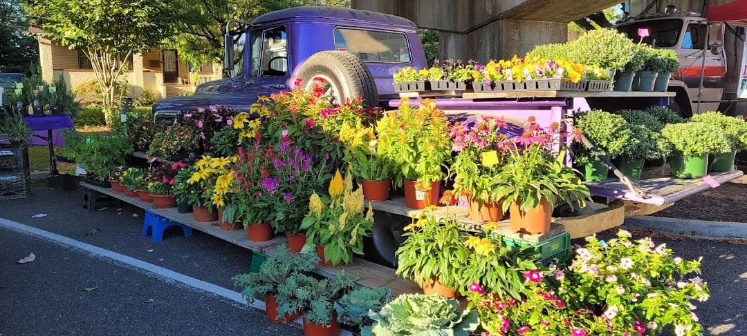 Collingswood Farmers Market photo 1
