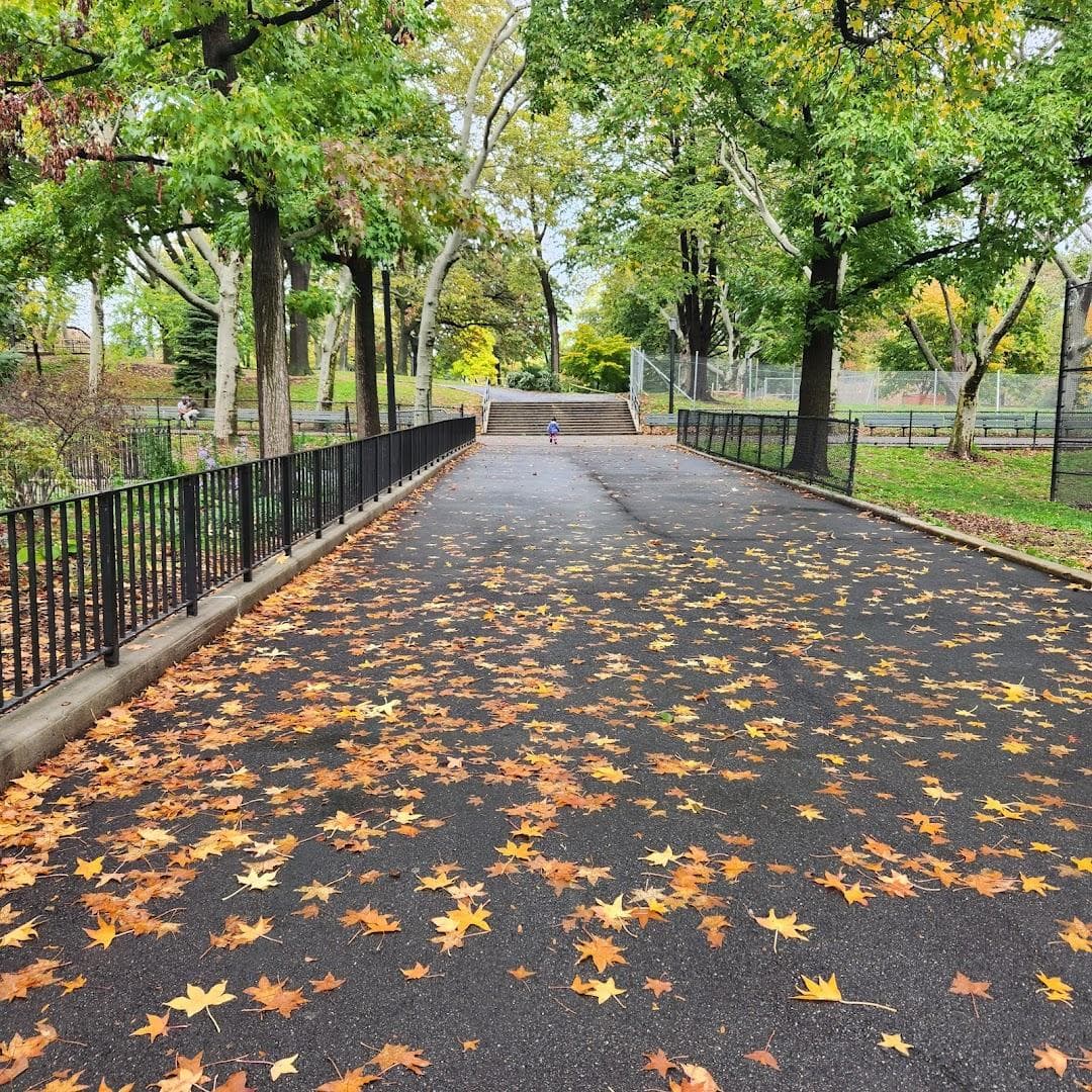 Lincoln Terrace / Arthur S. Somers Park photo 3