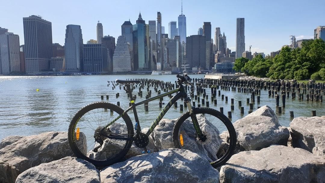 Dumbo photo 6