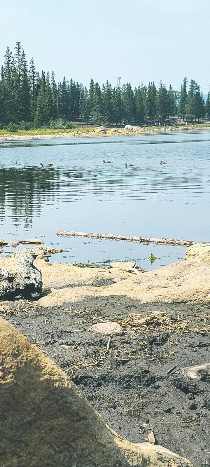 Echo Lake Campground photo 6