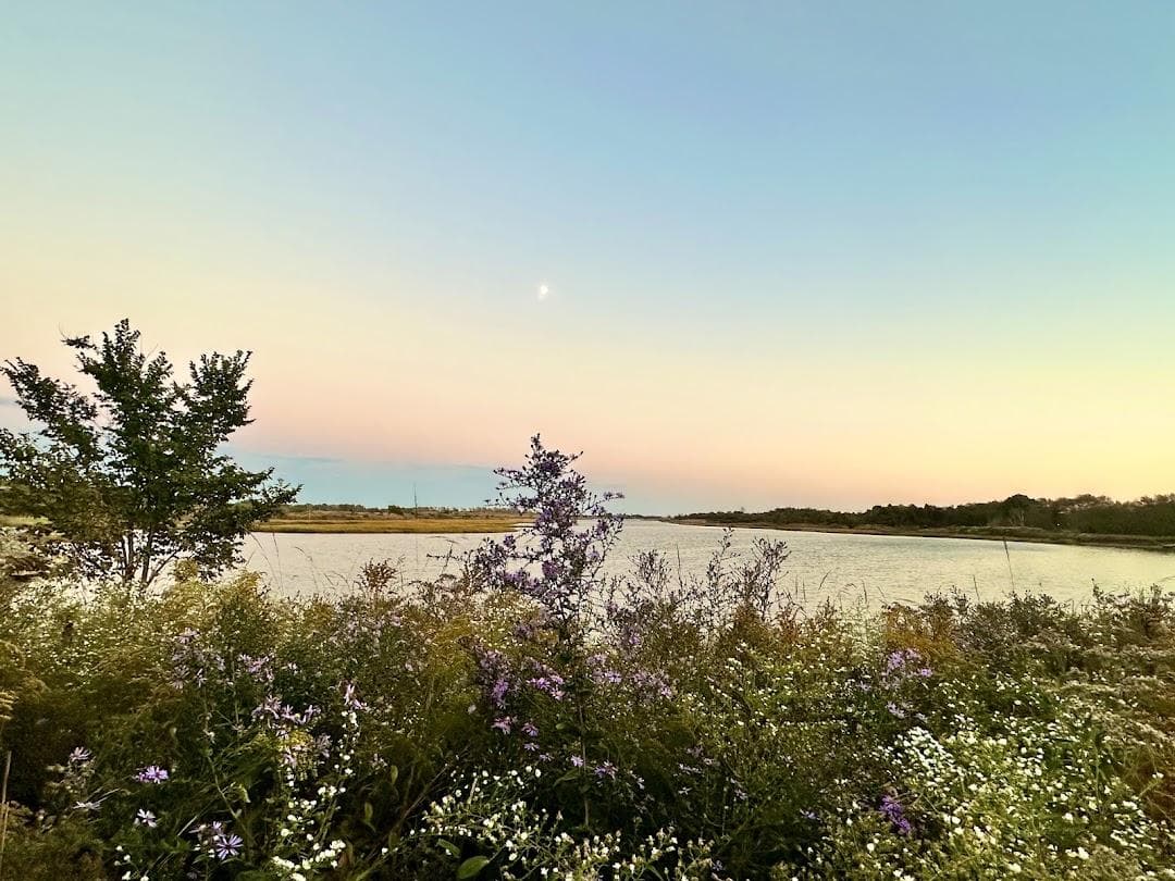 Marine Park photo 6