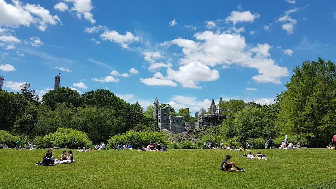The Great Lawn photo 2