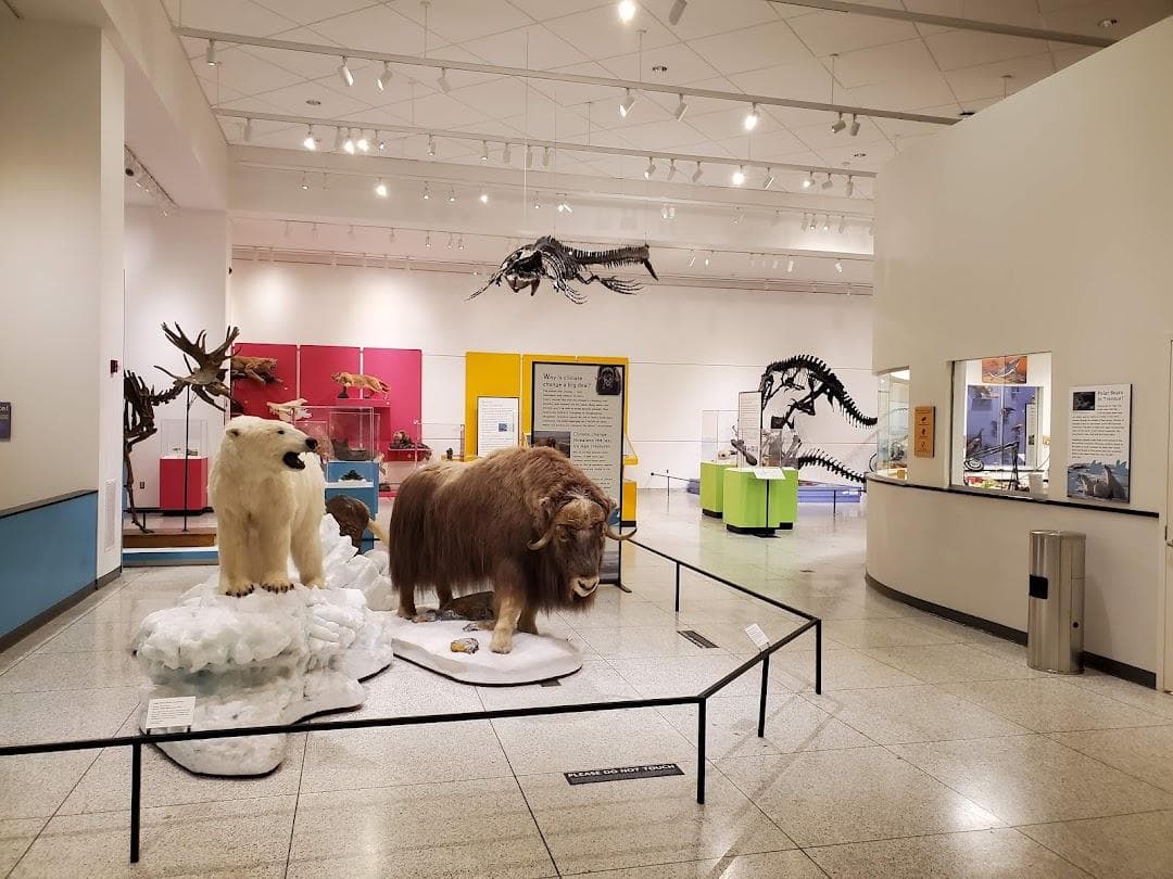 New Jersey State Museum photo 4