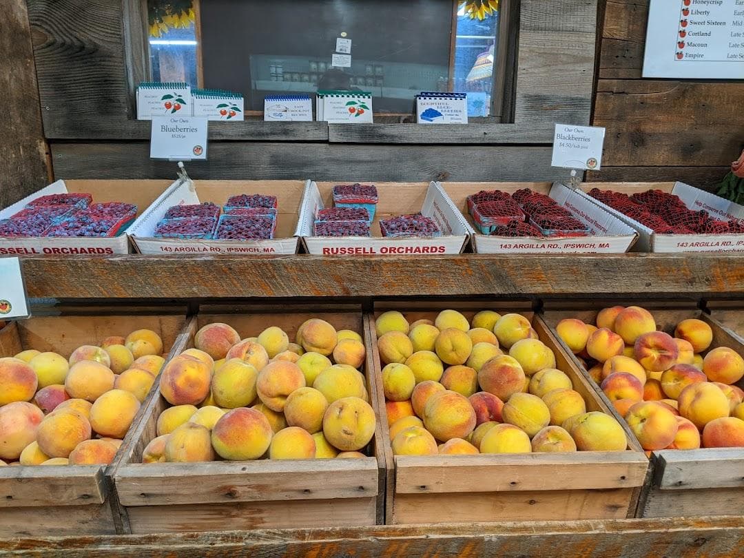 Russell Orchards photo 3