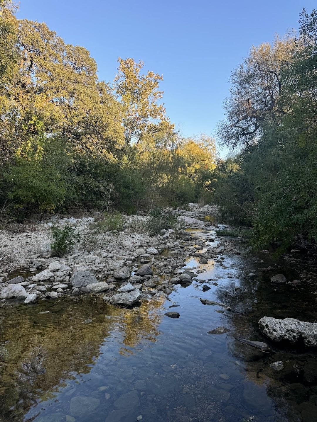 Pease District Park photo 6